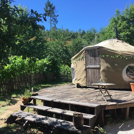 Star Gazing Luxury Yurt With River Views, Off Grid Eco Living Vale do Barco Exteriör bild