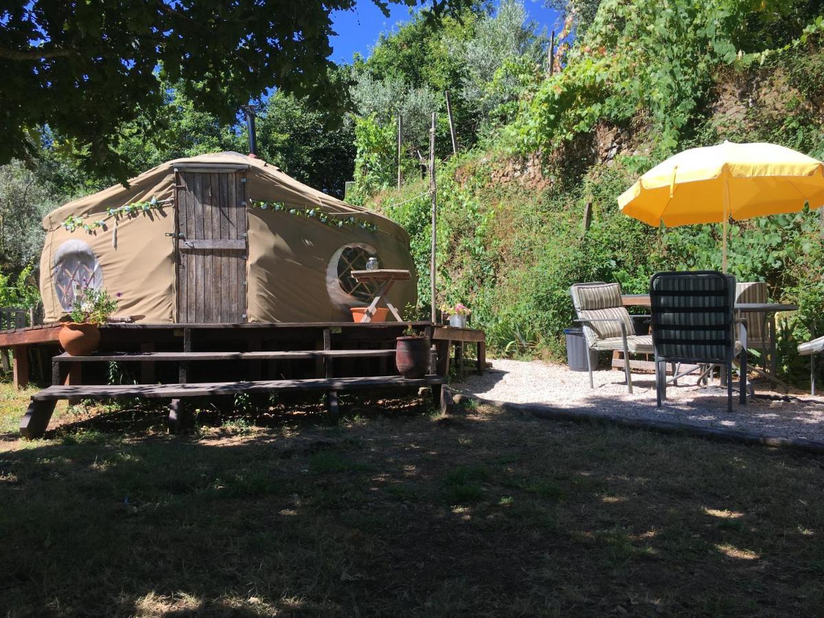 Star Gazing Luxury Yurt With River Views, Off Grid Eco Living Vale do Barco Exteriör bild