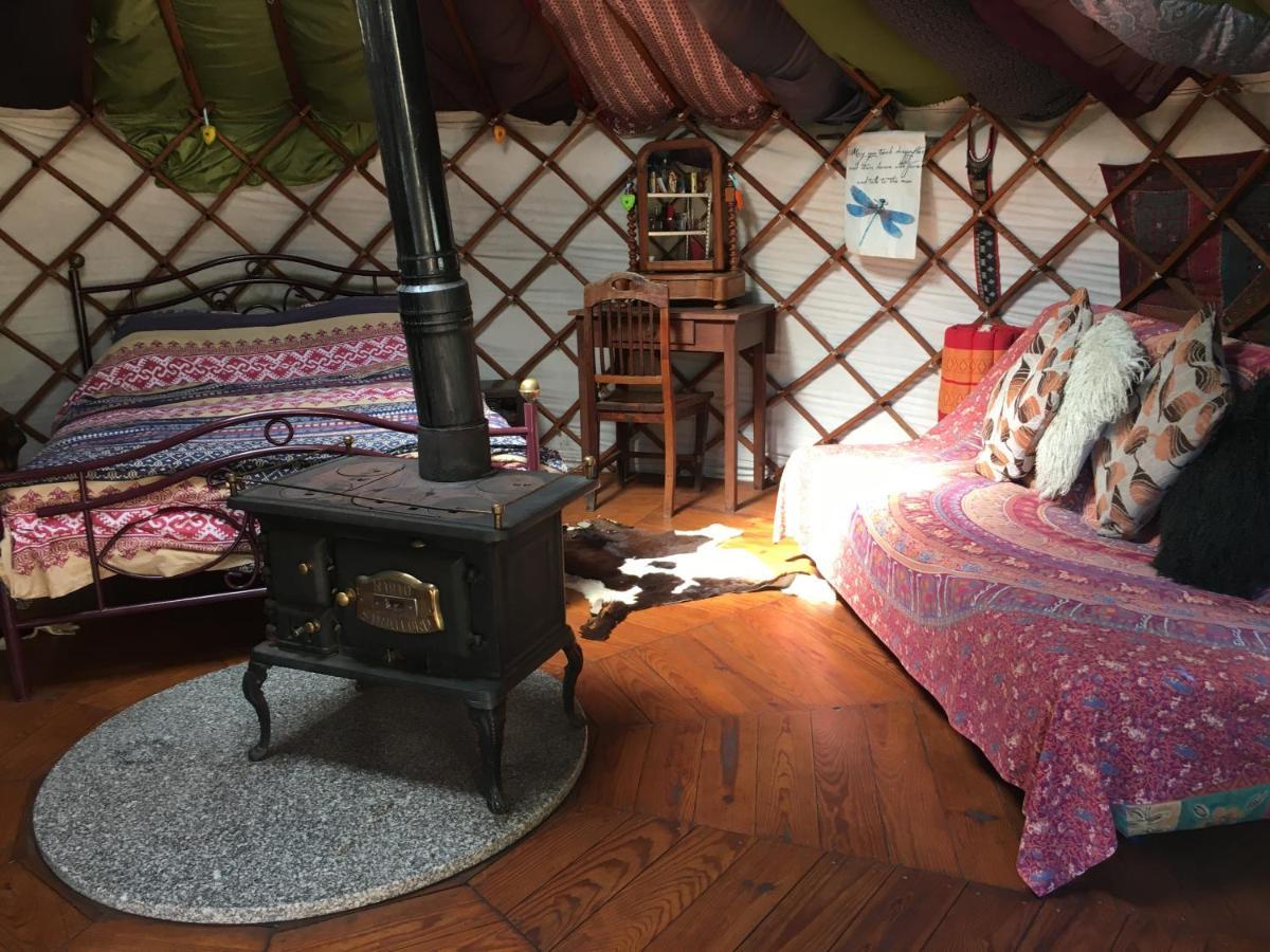 Star Gazing Luxury Yurt With River Views, Off Grid Eco Living Vale do Barco Exteriör bild