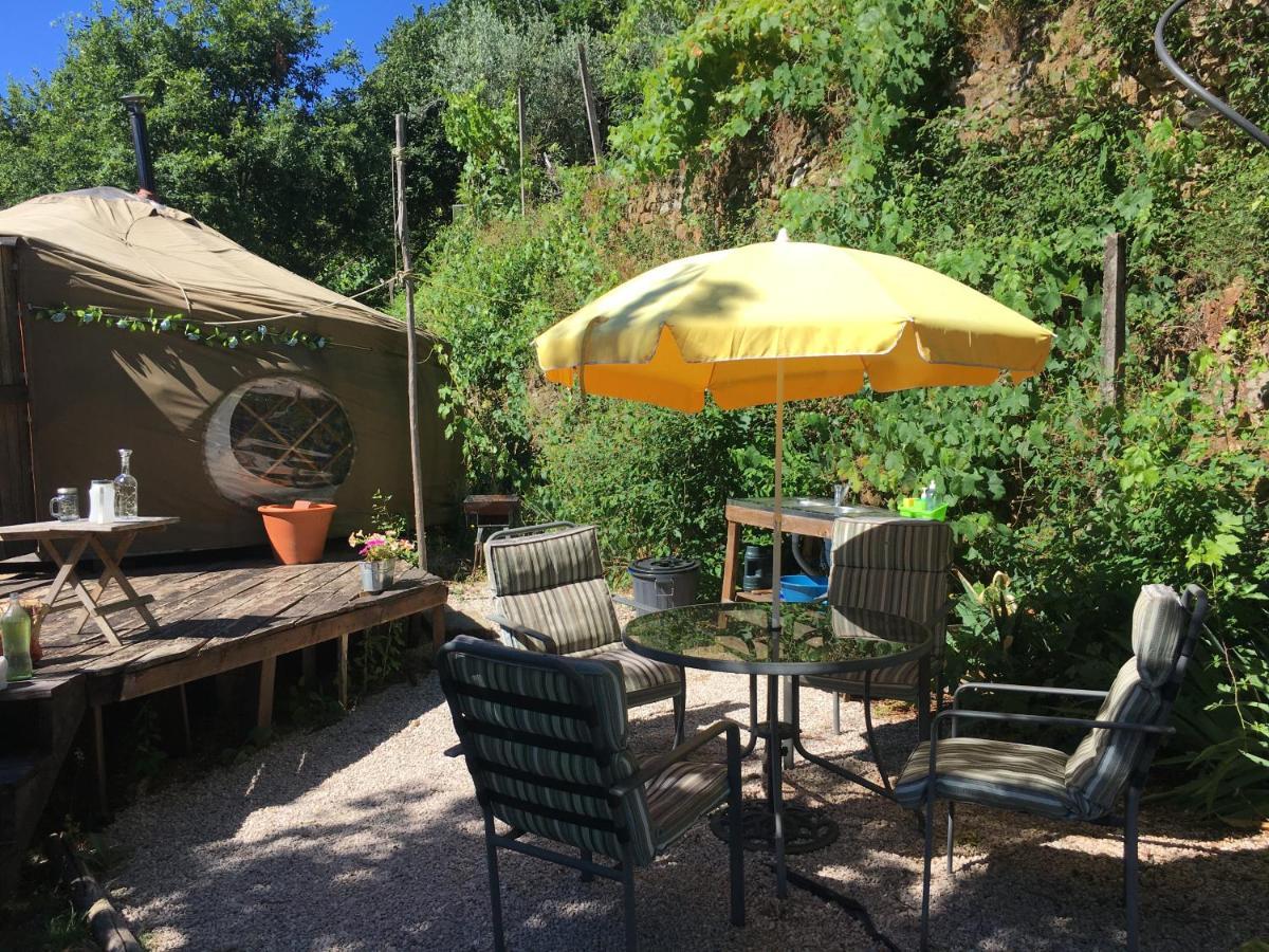 Star Gazing Luxury Yurt With River Views, Off Grid Eco Living Vale do Barco Exteriör bild