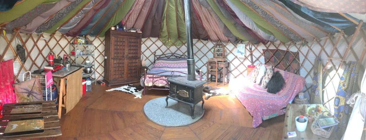 Star Gazing Luxury Yurt With River Views, Off Grid Eco Living Vale do Barco Exteriör bild