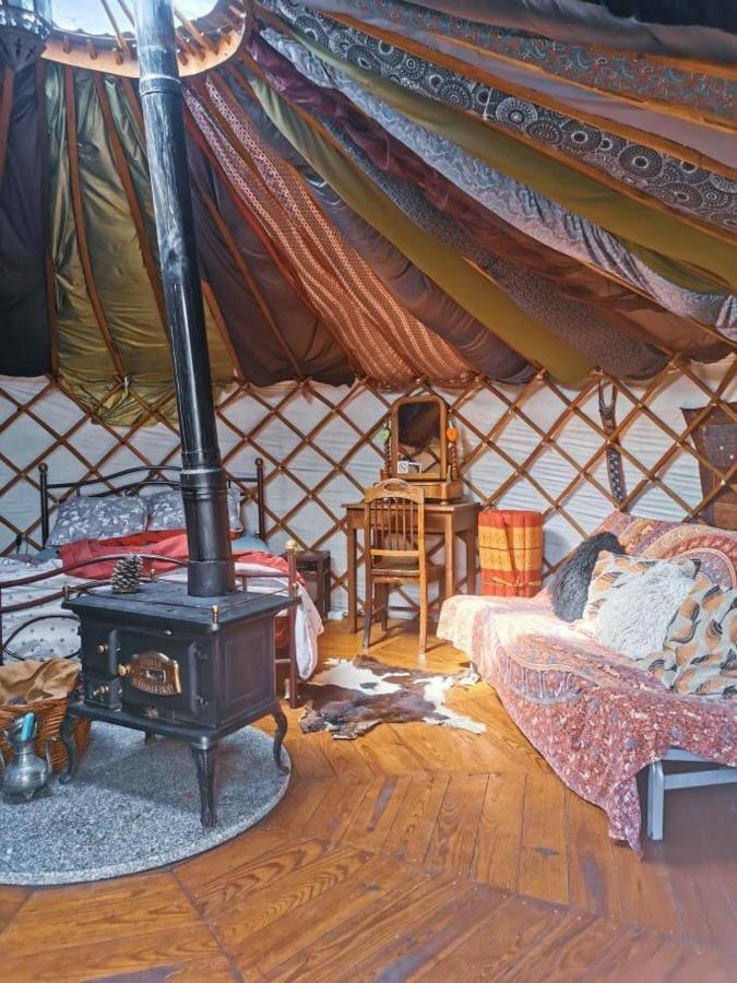 Star Gazing Luxury Yurt With River Views, Off Grid Eco Living Vale do Barco Exteriör bild